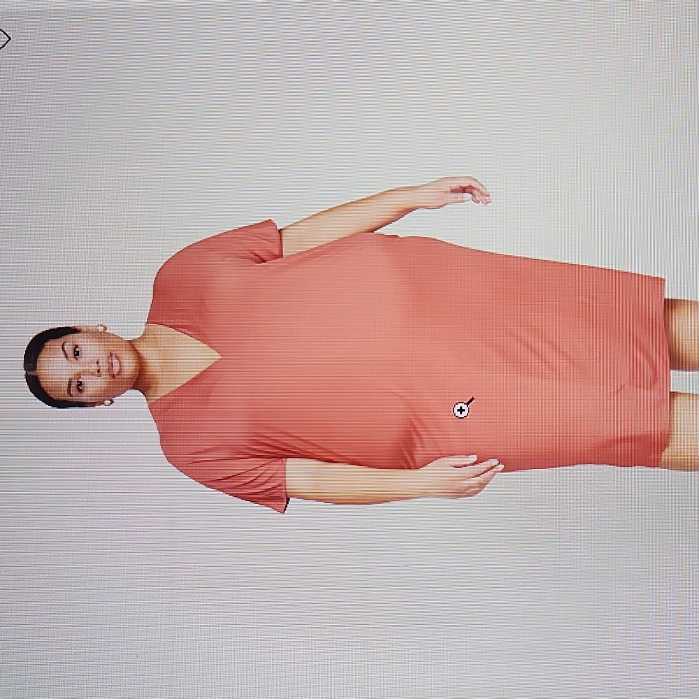BNWT-UNIVERSAL STANDARD Teresa Size small liquid jersey dress in terracotta
